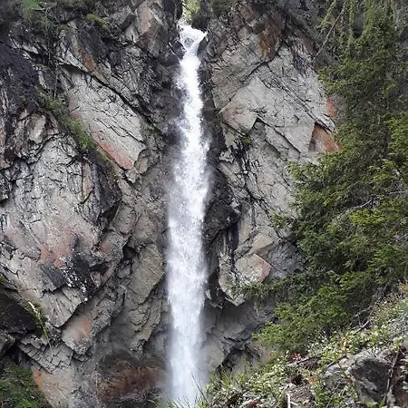 Daire Christina Tarrenz