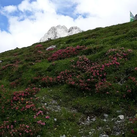 아파트 Christina 테란즈