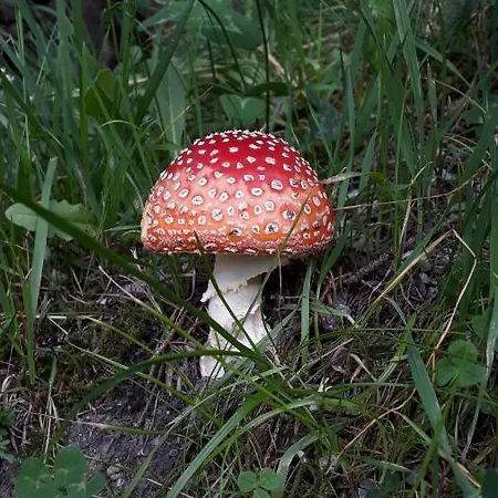 아파트 Christina *