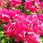 克里斯蒂娜公寓酒店 塔兰兹