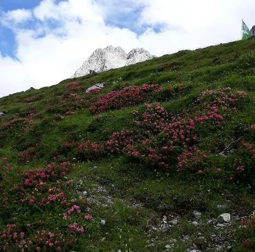 Lejlighed Christina Tarrenz